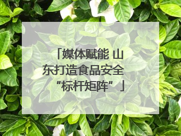媒体赋能 山东打造食品安全“标杆矩阵”